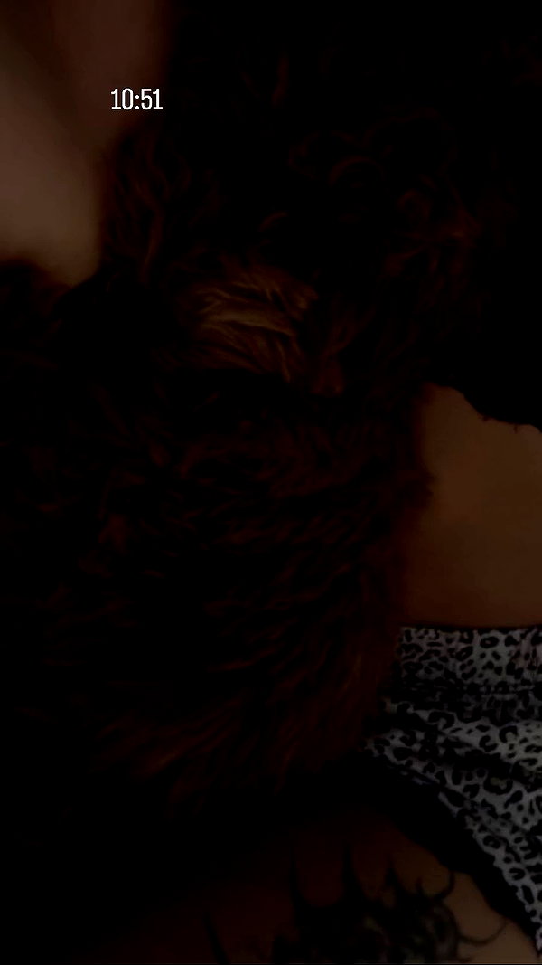 agam._.harel archive video preview