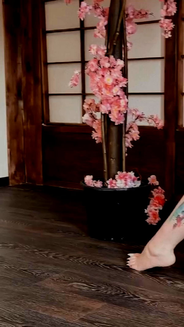 bakabakafuwa archive video preview