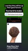 swholeanimal Altpins Profile Picture