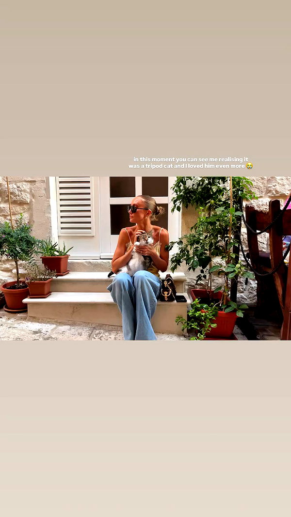 sullivang_ archive video preview