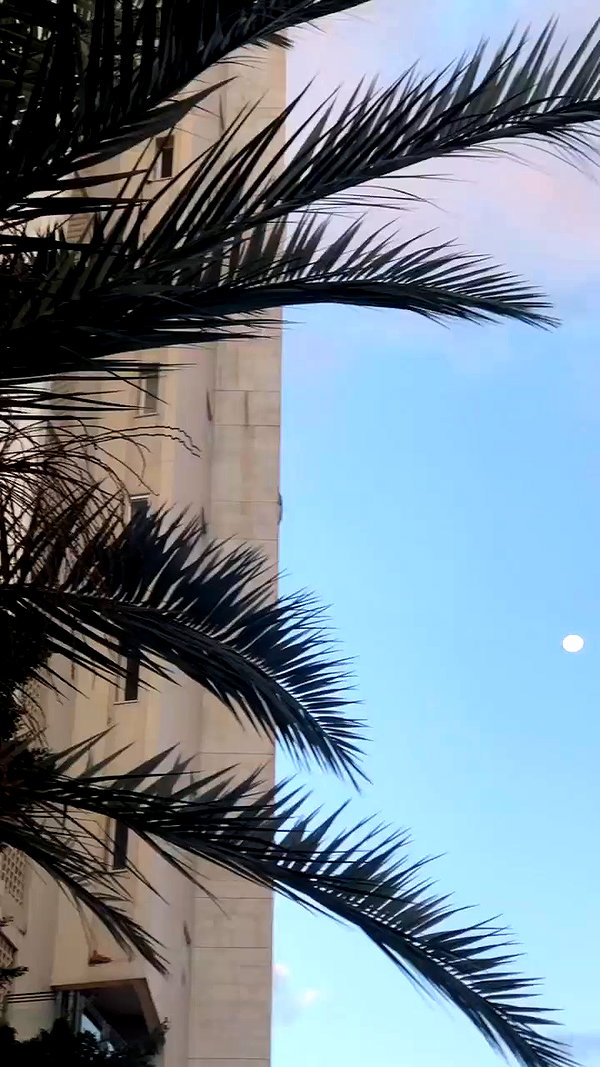 _.shelichka._ archive video preview