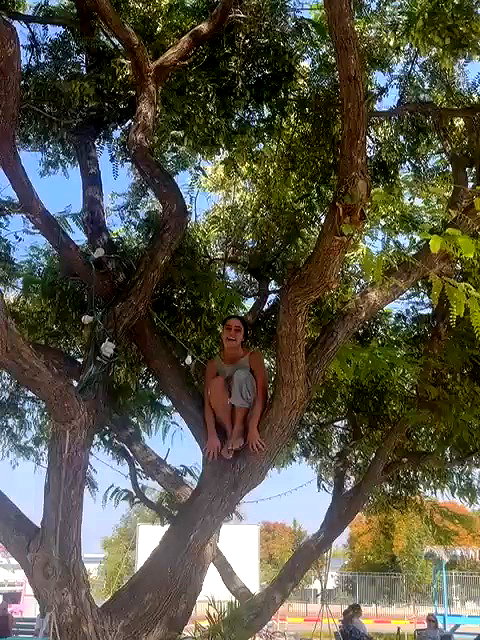 yuval_raz archive video preview