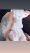 darkstar_mia Altpins Profile Picture