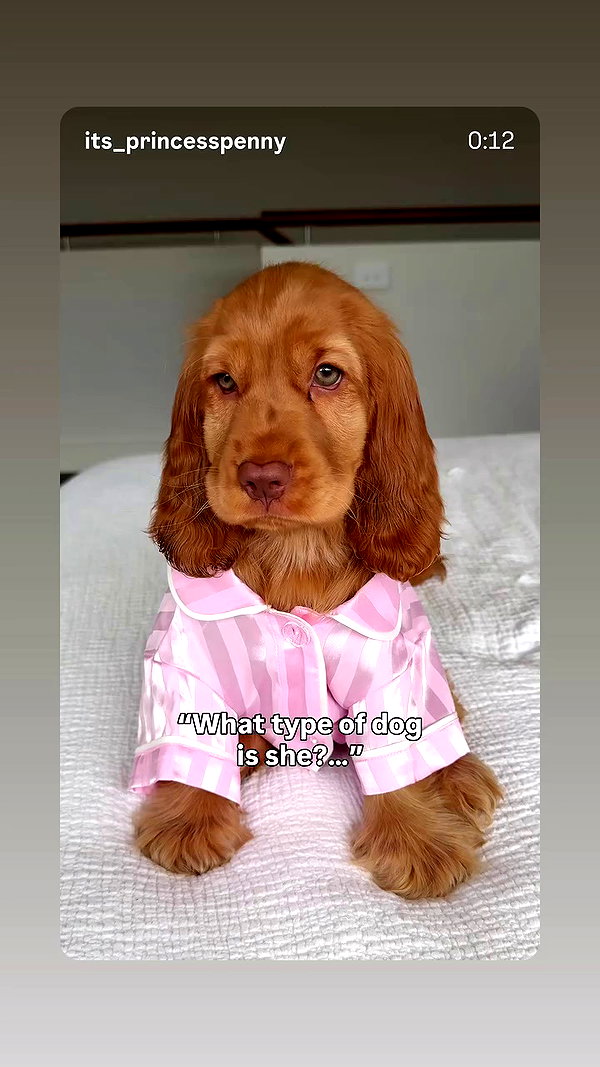 emily_new2 archive video preview