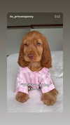 emily_new2 Altpins Profile Picture
