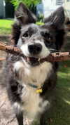 frecklesalanna Altpins Profile Picture