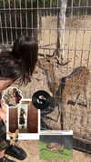 shi__rrrr Altpins Profile Picture