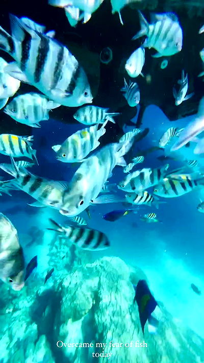 taylor.creeden taylor.creeden archive video