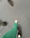 rouxroux.tv Altpins Profile Picture