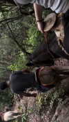 gissell_eli Altpins Profile Picture
