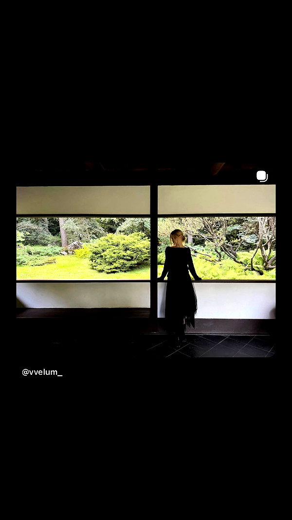 vvelum_ archive video preview
