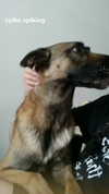 ida.trbl Altpins Profile Picture