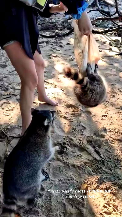 biton__adi biton__adi archive video