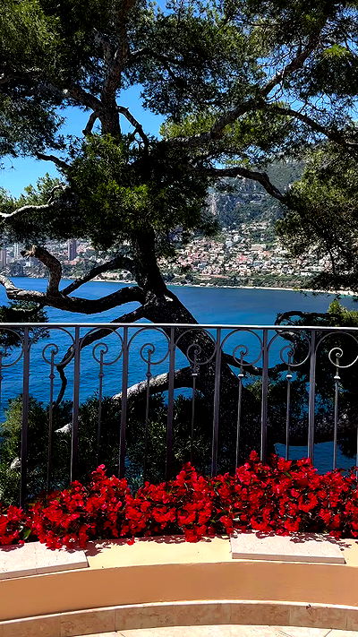 taylor.creeden taylor.creeden archive video