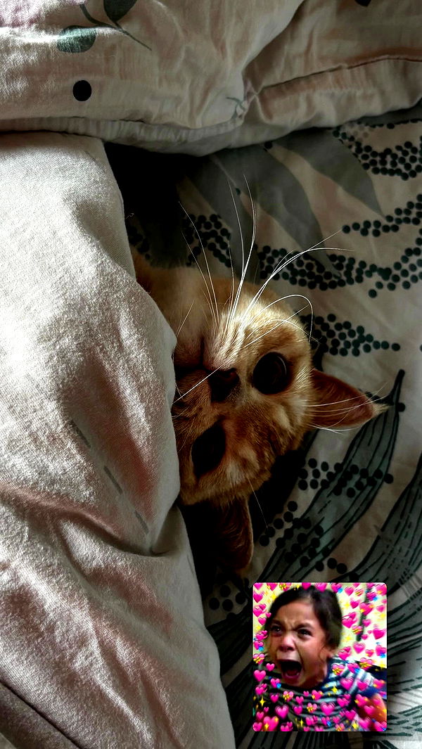 bbyerikss archive video preview