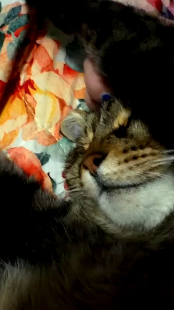 nishymoon_ archive video preview