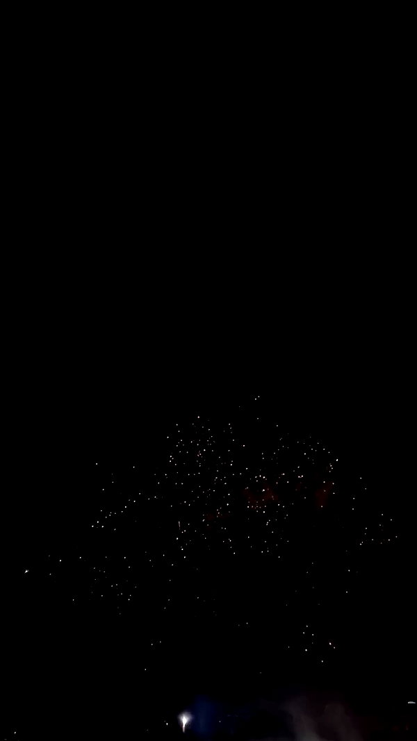 gotylka archive video preview
