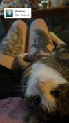 jahia_brown Altpins Profile Picture