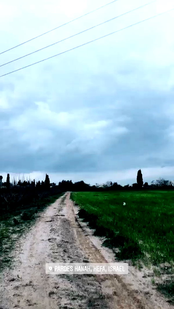 evasela__ archive video preview