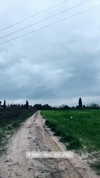 evasela__ Altpins Profile Picture