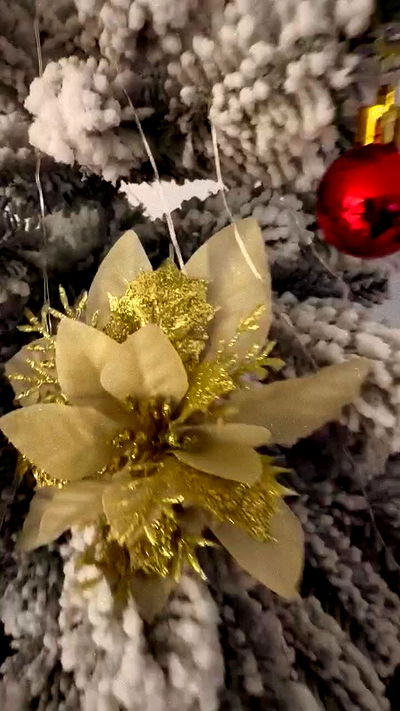 dustheadd dustheadd archive video