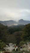 lir.noam Altpins Profile Picture
