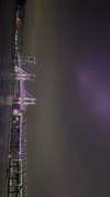 elsgatti Altpins Profile Picture