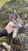 katrina.zaiceva Altpins Profile Picture