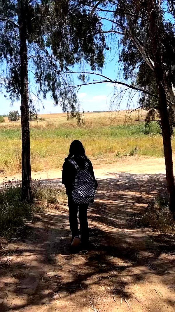 _l1loo archive video preview