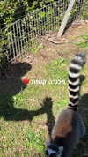 feelbetterinmysweater Altpins Profile Picture