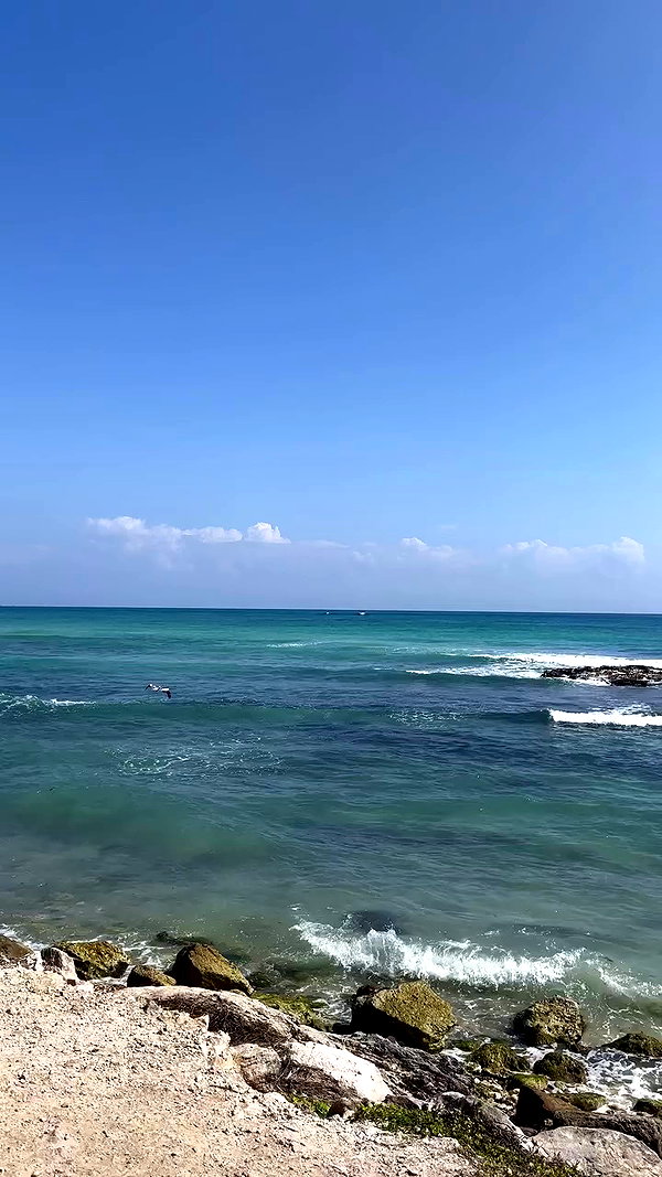taylor.creeden archive video preview