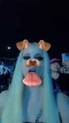roxiechelon2 Altpins Profile Picture