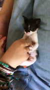 evasela__ Altpins Profile Picture