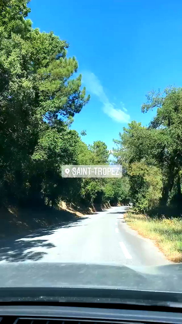 barzomer archive video preview