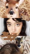 utochkavtapkah Altpins Profile Picture