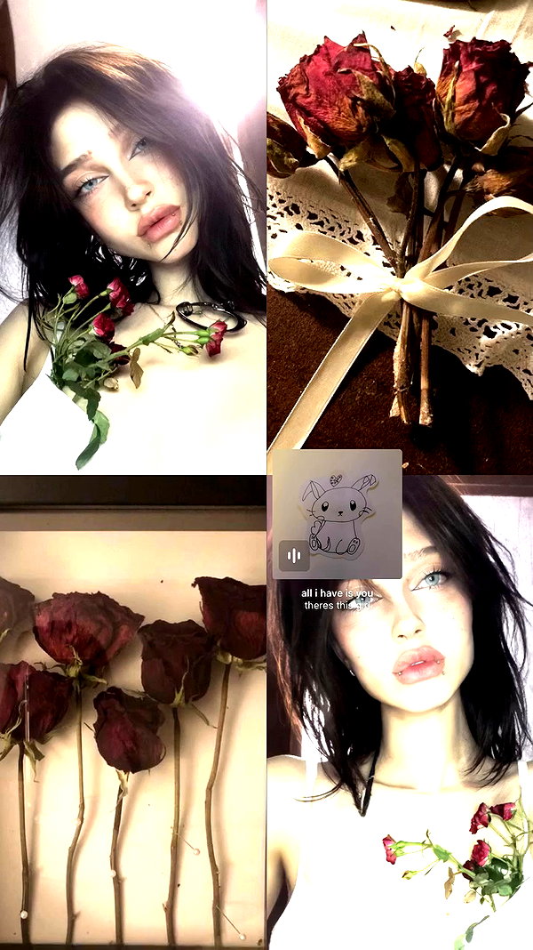stea0diness archive video preview