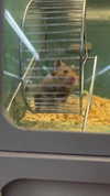 olivia.bolgerr Altpins Profile Picture