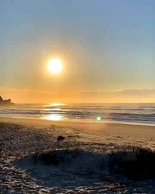 caseyjamess_ archive video preview
