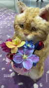kteaworld Altpins Profile Picture