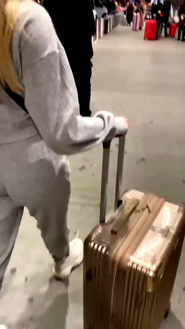 barzomer archive video preview