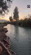 yaarat11 Altpins Profile Picture
