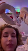 curlyfriesjazz Altpins Profile Picture
