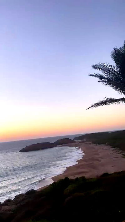 taylor.creeden taylor.creeden archive video