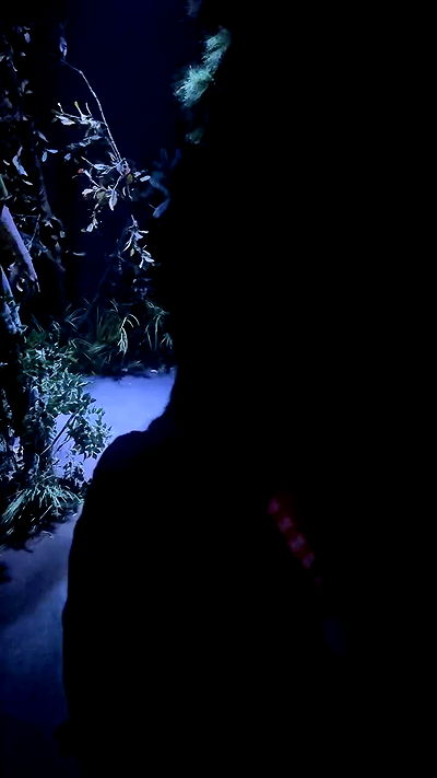 dracuina dracuina archive video