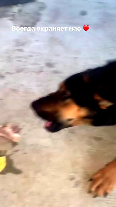 nyityam nyityam archive video