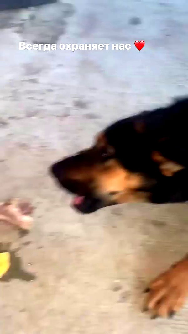 nyityam archive video preview