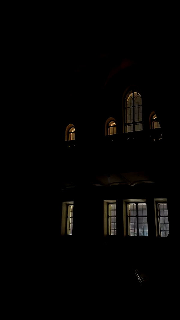 vvelum_ archive video preview