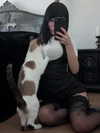dystorra Altpins Profile Picture