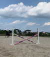 kafelnikova_a Altpins Profile Picture