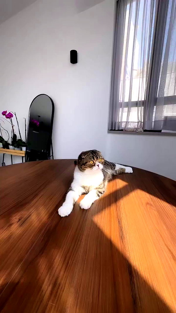 sonia_litvanchuk archive video preview